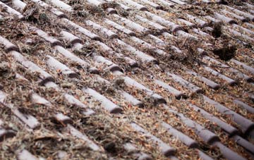 Crask roof cleaning companies