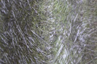 Crask fibreglass roof work